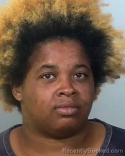 Mugshot of LAMARA JACOY PIERCE