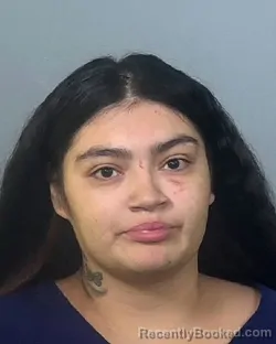 Mugshot of PRISILLA PALACIOS