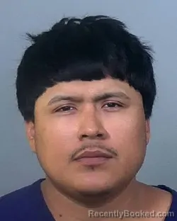 Booking photo from Manatee County, Florida