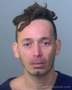 Mugshot of JOAQUIN SEAN RUIZ