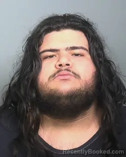 Mugshot of ELIAS SANTIAGO