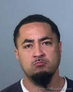 Mugshot of PESAI LOTULELEI TUPOU