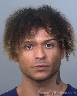 Mugshot of BRYAN VELEZ