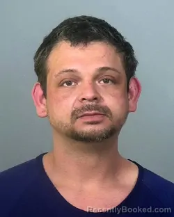 Mugshot of MICHAEL ANDERSON WOODS