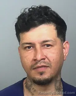Mugshot of IRVING ZUNIGA