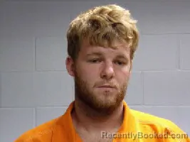 Mugshot of RONALD BUSTER LEE