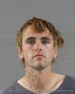 Mugshot of SAMUEL GUY LUNDEGREEN