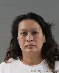 Mugshot of MICHELLE YBARRA CASTRO