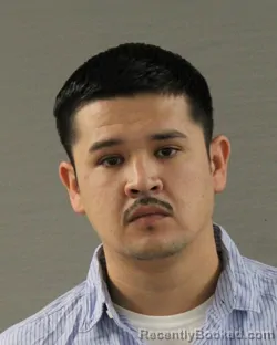 Mugshot of RAUL ROGELLO RAMIREZ