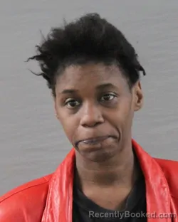 Mugshot of ROBIN ELIZABETH JENKINS