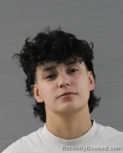 Mugshot of VICTORIA ROSE RIVERA