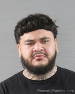 Mugshot of BENITO HERRERA