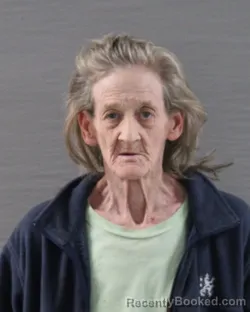 Mugshot of JERI LYNN MENDOZA