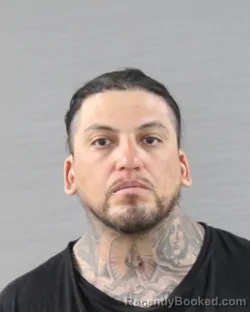Mugshot of MIGUEL ANGEL VELA