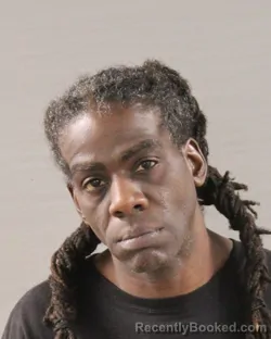 Mugshot of TERRY TERRILL FOSTER