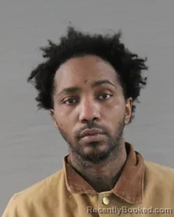 Mugshot of DAVID WAYNE MONROE