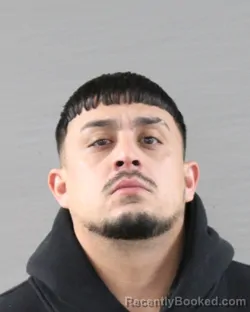 Mugshot of RONNIE GARCIA
