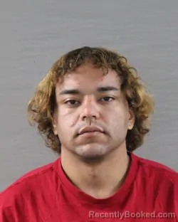 Mugshot of JORDAN TREVON HOLMAN