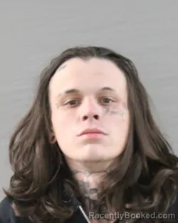 Mugshot of TAYLAN HUNTER PALMER
