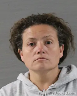 Mugshot of ERIKA DEL ROSARIO BELTRAN