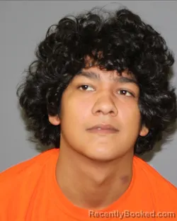 Mugshot of JUAN JR RAMIREZ