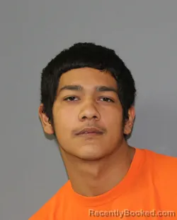 Mugshot of JUAN JR RAMIREZ