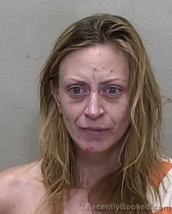 Mugshot of CHRISTINE DENISE LEE