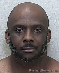 Mugshot of RONALD GERSON JR