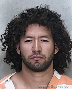 Mugshot of JOEL J FRANCIS