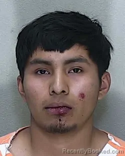 Mugshot of JUAN HERNANDEZ SANCHEZ