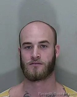 Mugshot of MICHAEL AUSTIN WILEY