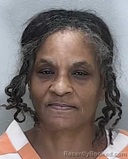 Mugshot of LINDA MARIE WILSON