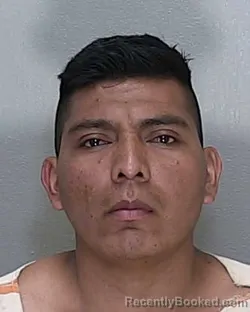 Mugshot of GONZALEZ GONZALEZ WAYMAR