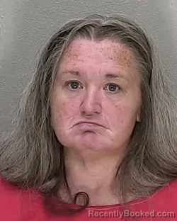 Mugshot of BRANDY IRENE BOLLOTTA