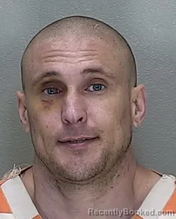 Mugshot of MITCHEL ANDREW SEARLE