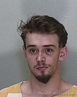 Mugshot of DILLON BLAIN STAFFORD