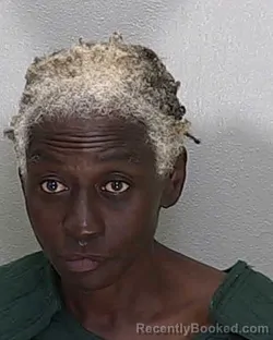 Mugshot of DIONNE SHARNETTA JOHNSON