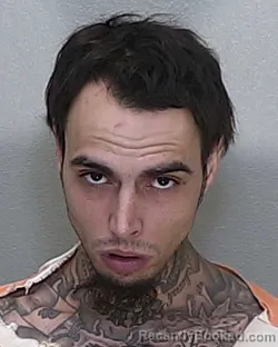 Mugshot of KYLE MITCHELL NOVAK