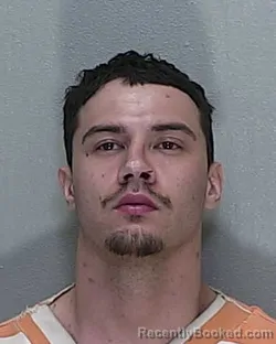 Mugshot of XAVIER JORDAN MELENDEZ