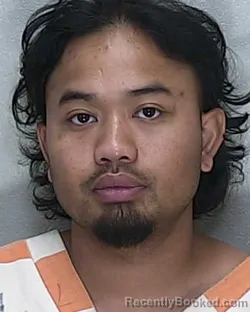 Mugshot of BORLLICKA SIEP