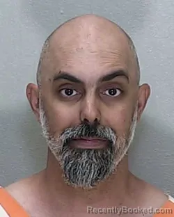 Mugshot of JEAN PAUL WILLEMSE