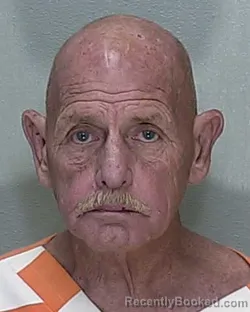 Mugshot of JOHNNIE MAC RECTOR JR