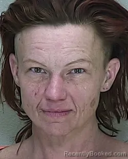 Mugshot of JENNIFER LEE LUKE