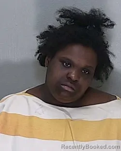 Mugshot of KEENA MARIE JOHNSON