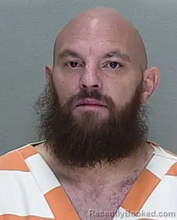 Mugshot of BRIAN PATRICK ALANO