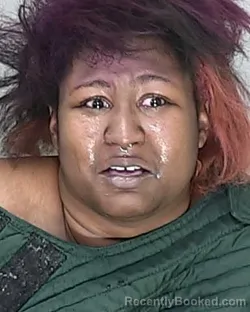 Mugshot of LA'NIYA KEI'SANDRA JOHNSON