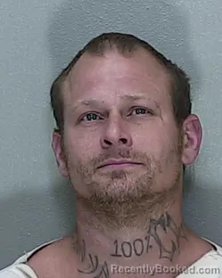 Mugshot of JEREMIAH JACOB WILSON
