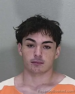 Mugshot of BRENDON ROBERT BURROWS