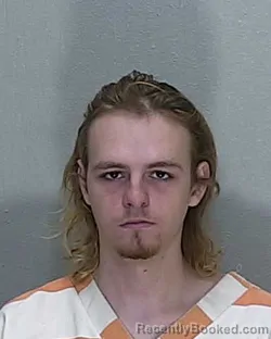 Mugshot of NATHANIEL RYAN BROWN