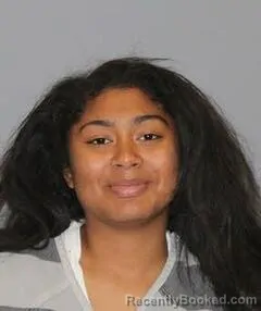 Mugshot of TIA JOHNSON